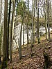 Bild 210.jpg